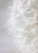 Load image into Gallery viewer, Islamic Poster White Building Flower Muslim Quran quote Canvas Print Wall Art Painting Mosque Morocco Picture Modern Home Decor