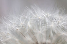 Load image into Gallery viewer, Islamic Poster White Building Flower Muslim Quran quote Canvas Print Wall Art Painting Mosque Morocco Picture Modern Home Decor